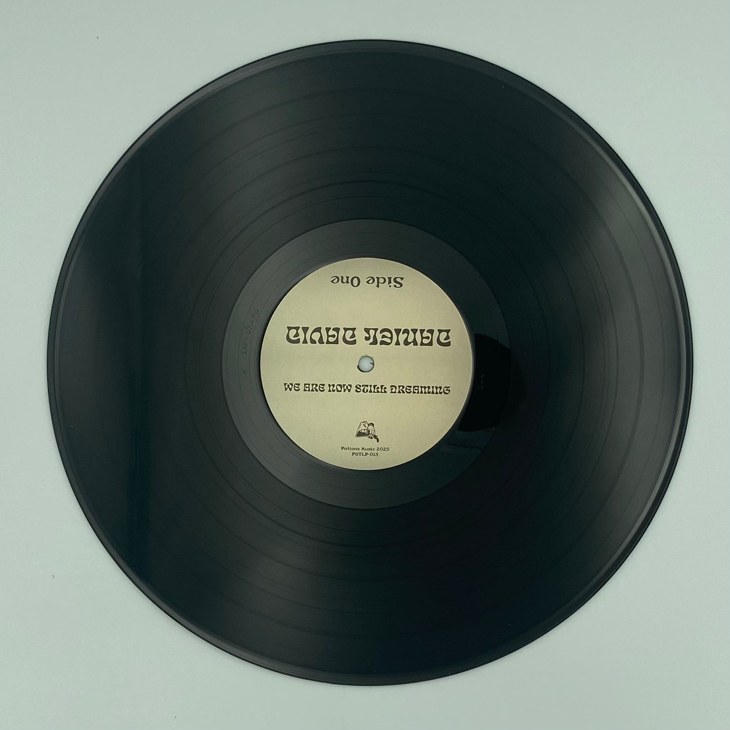 Daniel David - We Are Now Still Dreaming Vinyl LP
