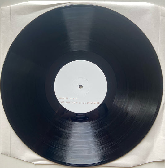 Daniel David - We Are Now Still Dreaming Vinyl LP (Test Pressing)