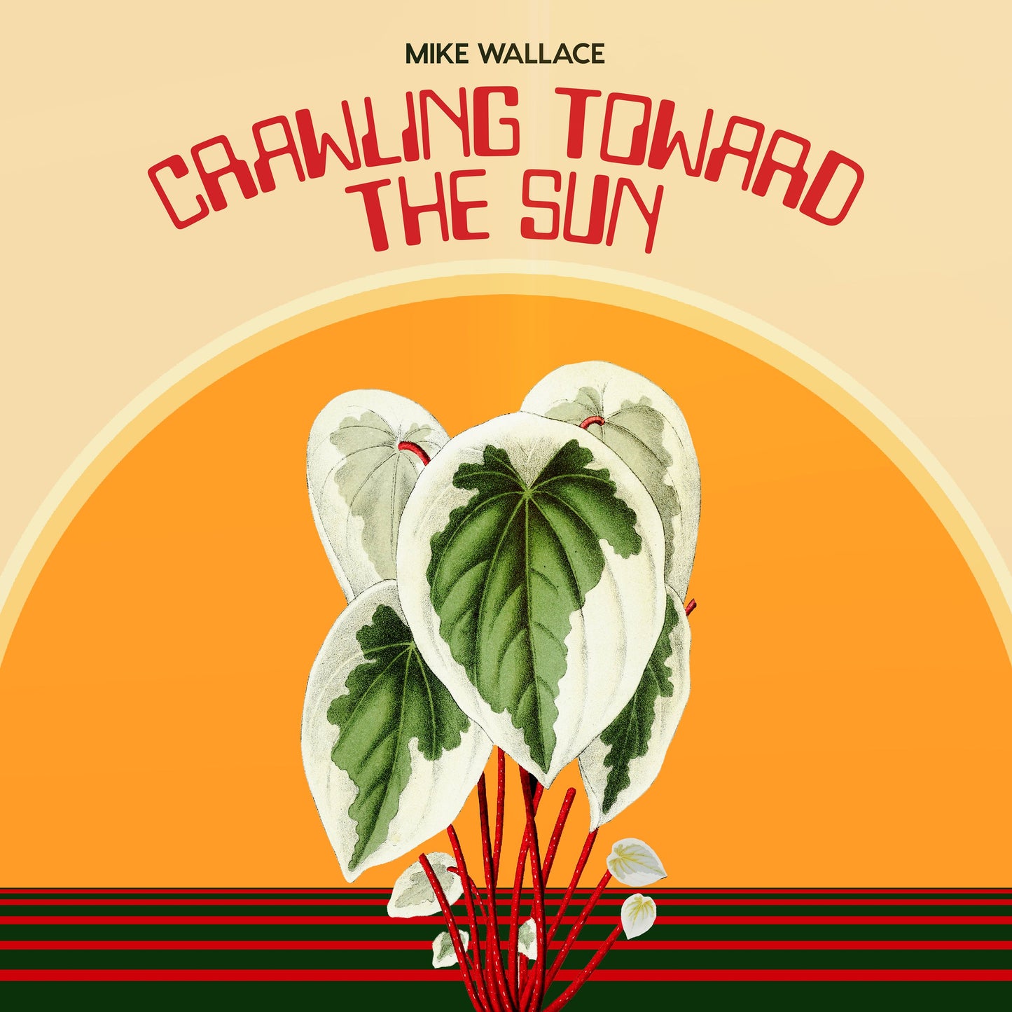 Mike Wallace - Crawling Toward The Sun (White shell version)